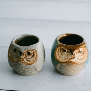 Small set of ceramic owls (2) great for succulent